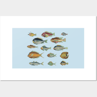 So Many Fish Blue #1 - Vintage Marine Biology Pattern Posters and Art